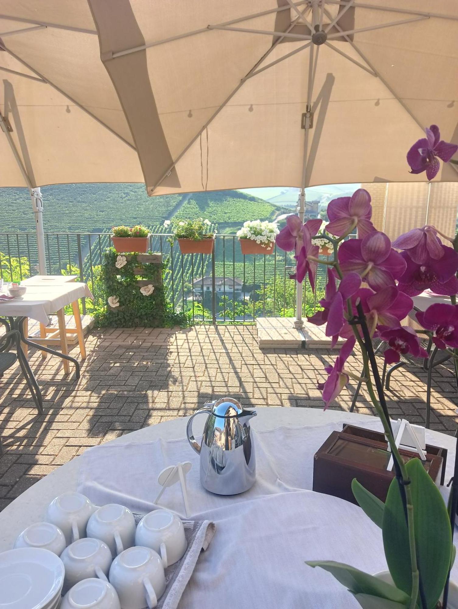 Il Borgo B&B Castellinaldo Dış mekan fotoğraf